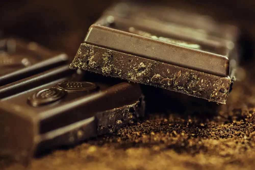 Chocolate Fondant Recipe